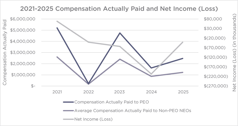 [MISSING IMAGE: lc_netincome-pn.jpg]